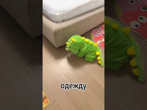 Она одела и своего ребенка, и собаку одинаково… А потом часами пыталась найти своего малыша.