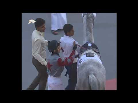 41st Race Meeting of Season 2017/2018