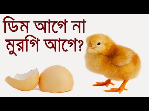 ডিম আগে না মুরগি আগে? | What Came First Egg Or Chicken? Video