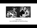 Shell Game -Jerry Jeff Walker & David Bromberg