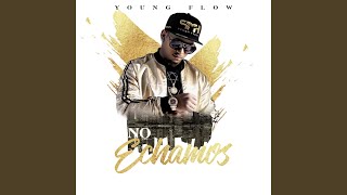 Video No Echamos de Young Flow , Nae Sketchie