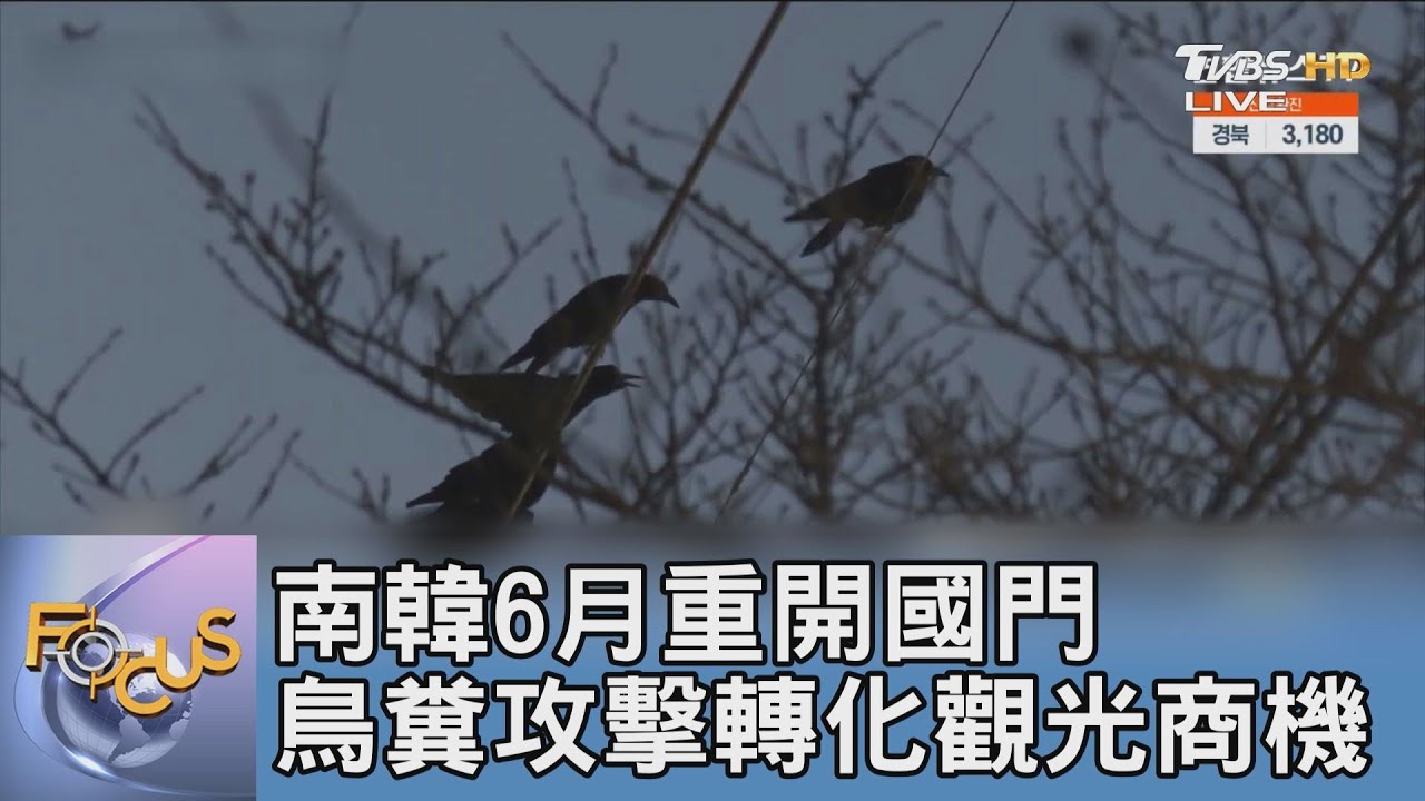南韓6月重開國門 鳥糞攻擊轉化觀光商機