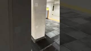 線路の上歩くの好き