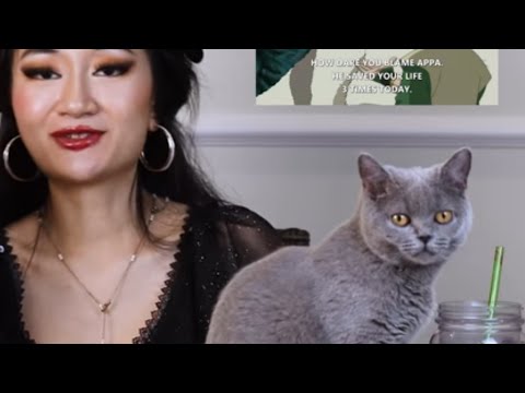 Xiran Jay Zhao videos but it's just their cats - PART 2