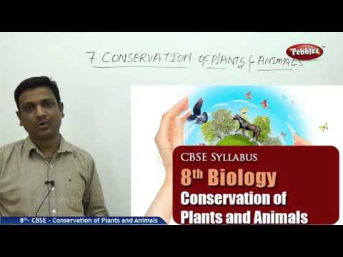 Happyclass - Conservation of Plants and Animals, Science, CLASS 8 - NCERT  CBSE