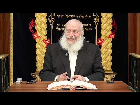 Short Thought on the Three Weeks | By Rav Asher Weiss Shlit"a (5786)