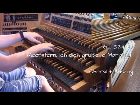 GL 524 1-3 Meerstern, ich dich grüße o Maria hilf (Schlusslied + Auszug) | LABIALPFEIFE