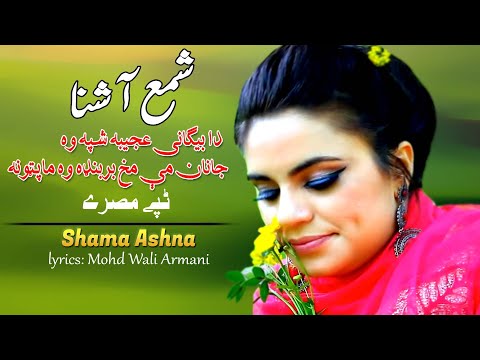 Tappay Misrey | Shama Ashna | Pashto New HD Song 2022 | Tapay | Afghan | MMC OFFICIAL