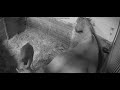 Horse Poop 1