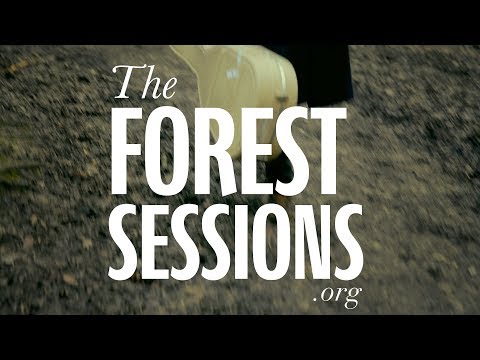 Forest session with The Magic Lantern - Holding Hands