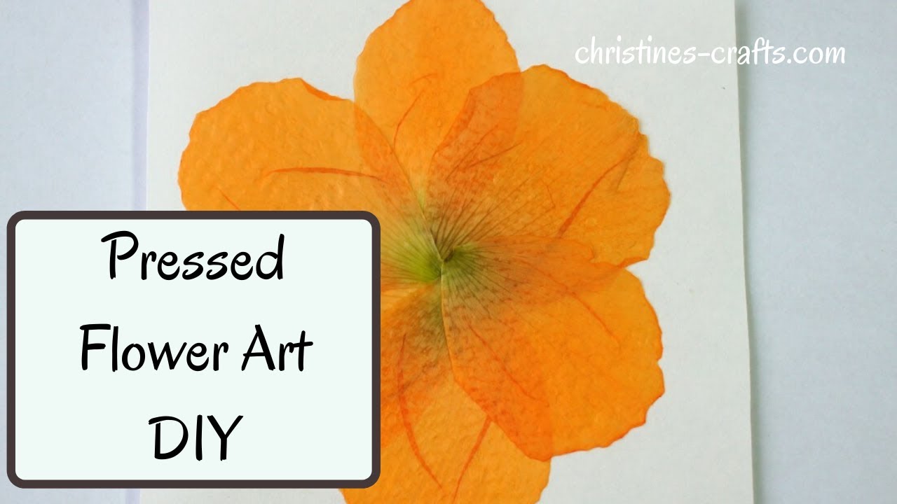 PRESSED FLOWER ART IN A FRAME - A quick and easy way to make pressed flower pictures