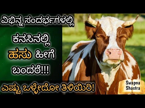 ಕನಸಿನಲ್ಲಿ ಹಸು ಬಂದರೆ || Kanasinalli Hasu Bandare || Cow in Dream Analysis & Meaning || Dreambook