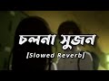 Cholna Sujon - LoFi | চলনা সুজন | (Slowed Reverb) Bangla Lofi Song