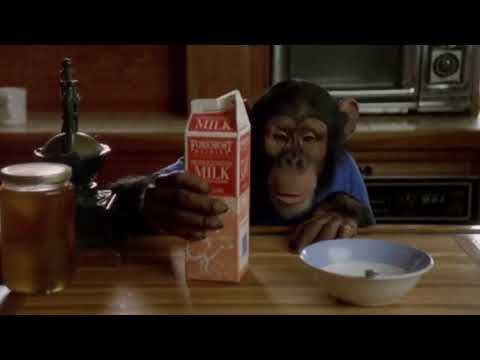 MVP Most Valuable Primate - Jack Eats Breakfast