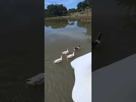 Parque Aquático Santa Helena de Goiás