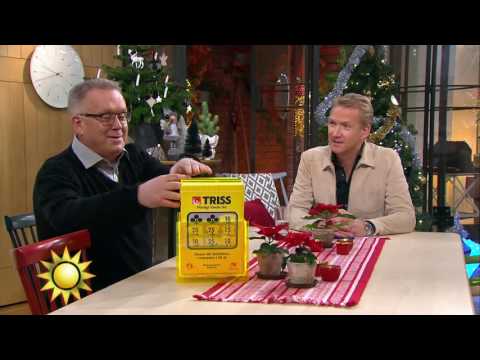 Trissvinnaren: "Man tänker inte klart" - Nyhetsmorgon (TV4)