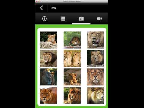 Species Explorer Video
