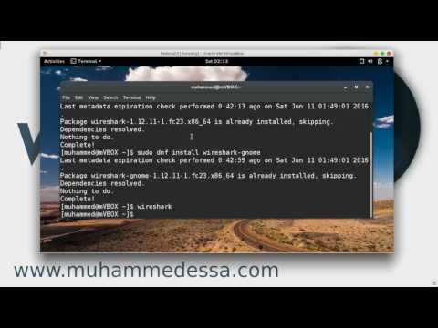 3  Wireshark  install on Linux