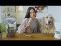 Dangerous Or Healthy Dog ​​snack What You Didn T Know About Bones