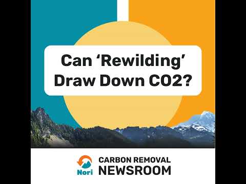 Can 'Rewilding' Draw Down CO2?