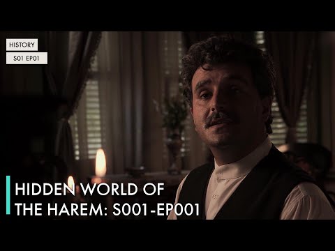 Hidden World of the Harem: S01 EP01