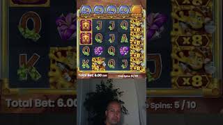 €6 HIVE Bonus!! Big Win or Fail???