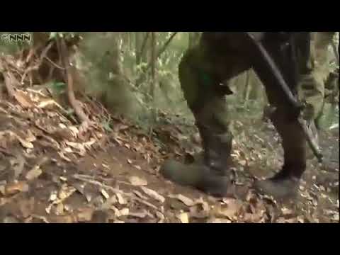 Japanese Army "Airborne Ranger''