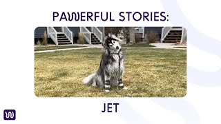 Download lagu PAWerful Stories: JET mp3 Download lagu PAWerful Stories: JET mp3