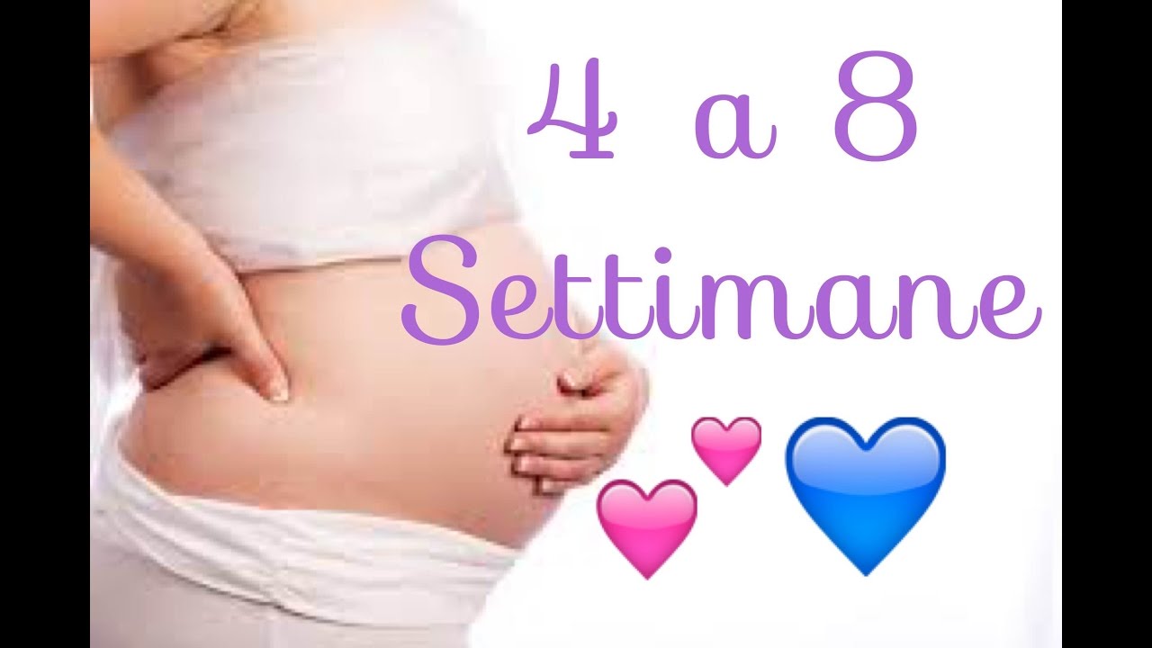 Watch Now LA GRAVIDANZA - 4 a 8 settimane LA GRAVIDANZA - 4 a 8 settimane