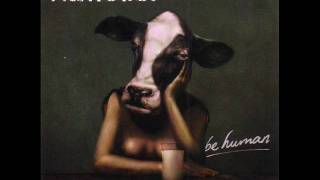 Never Change (Official) Fightstar