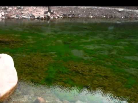 水中石