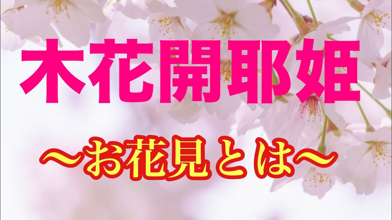 【2026年】今年のお花見は🌸本当の意味を知って‼️木花開耶姫の真実✨