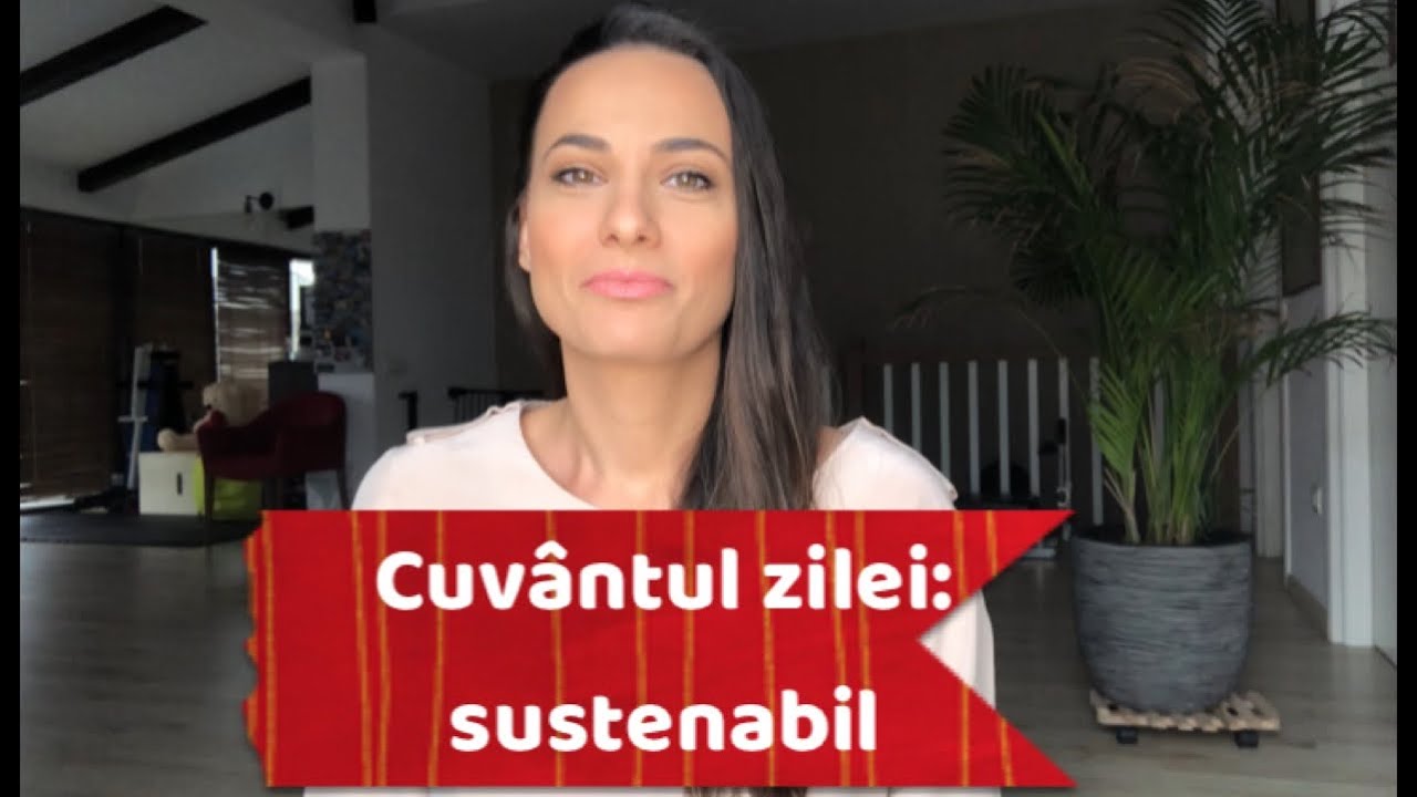 What is sustainability