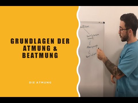 Grundlagen der Atmung und Beatmung  - Die Atmung
