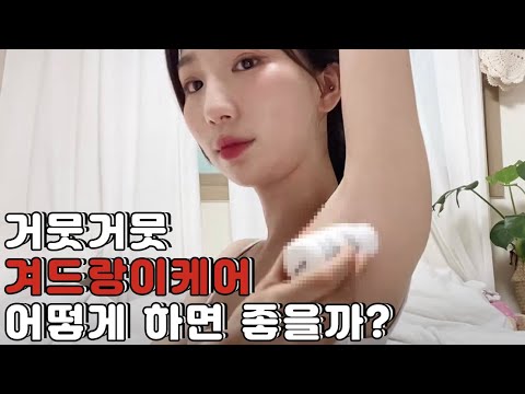 비디오 5
