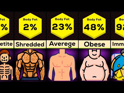 Comparison: You at Different Body Fat Levels