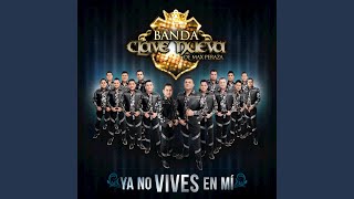 No Tiene Razón La Vida