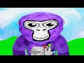 FIIZY IS STUPID Gorilla Tag