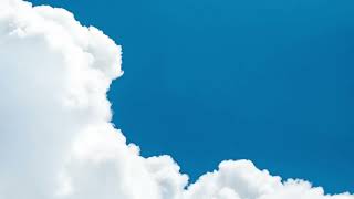 ブルーバード【歌ってみた/cover/Vtuber】