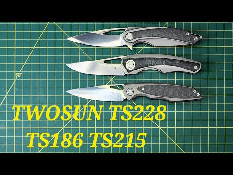 Twosun Ts215