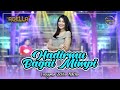 HADIRMU BAGAI MIMPI Lusyana Jelita Adella OM ADELLA