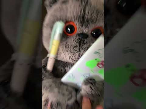 Делать тутор на рюкзак 🎒 для басика🐈⬛?