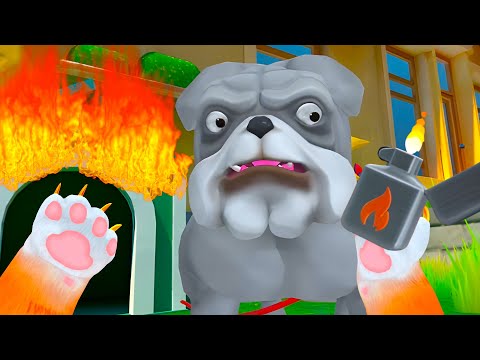 BATTLING The DOG For Control Of The Street - I Am Cat VR