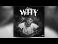 Fredo Bang Why Official Audio