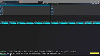 CCX random unique features with keystroke illustration #2