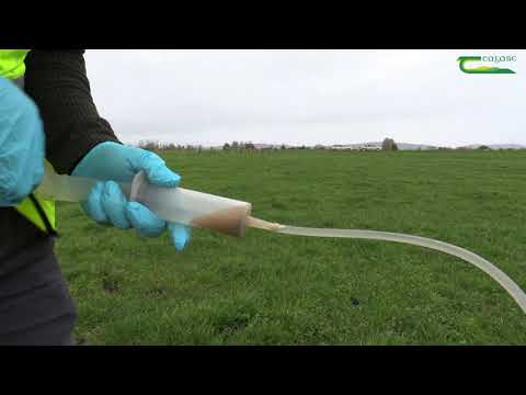 Lowering the Carbon Footprint of Milk Production at Solohead Research Farm