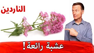 عشبة الناردين (حشيشة الهر) 250 جرام
