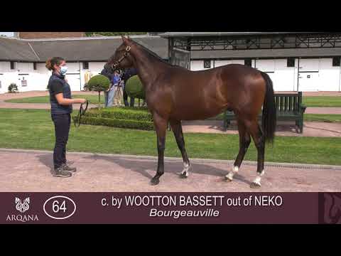 2021 August Yearling Sale - Lot 64 c. WOOTTON BASSETT x NEKO