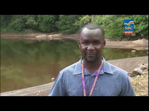 12:30 p.m News 02-11-2022