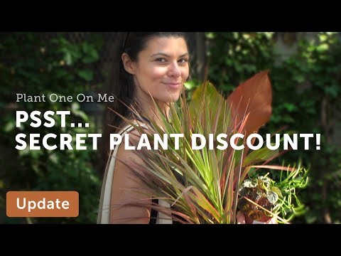 Join in on the "Plant Shop Pub Crawl"!